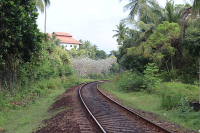 Railroad track amidst trees against sky