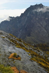 Rock formations above the clouds at rwenzori mountains, uganda