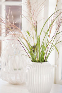Close-up of white flowers in vase on table
