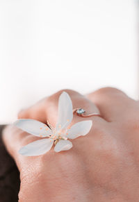 Close-up of hand holding white flowering plant