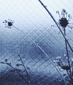 cold temperature