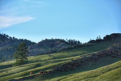 Scenic view of landscape against sky