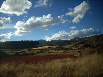 Scenic view of landscape against cloudy sky