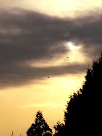 Silhouette birds flying against sky during sunset