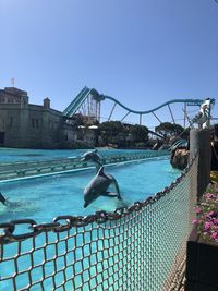 View of swimming pool