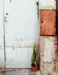 Closed door of old building