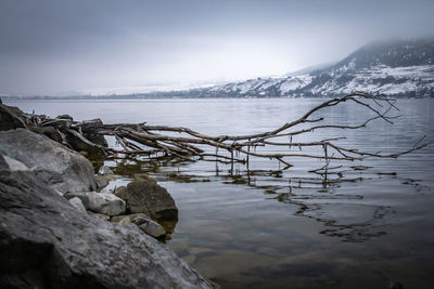 Scenic view of lake by snowcapped mountain against sky