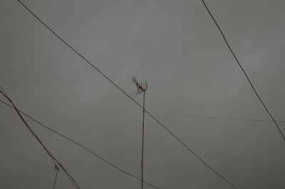 Low angle view of birds on cable against sky