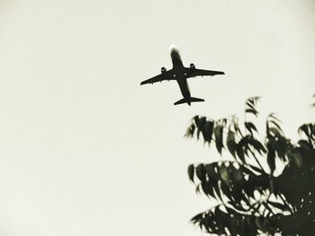 Low angle view of airplane flying in sky