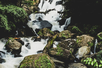 High angle view of water flowing through rocks