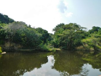 Reflection of trees in lake