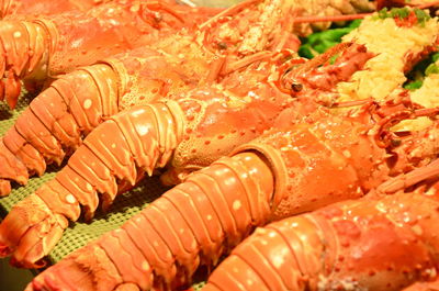 Close-up of lobsters served in plate