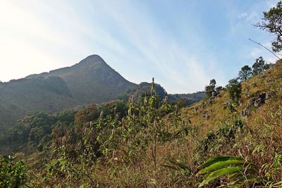 Panoramic view of landscape against sky