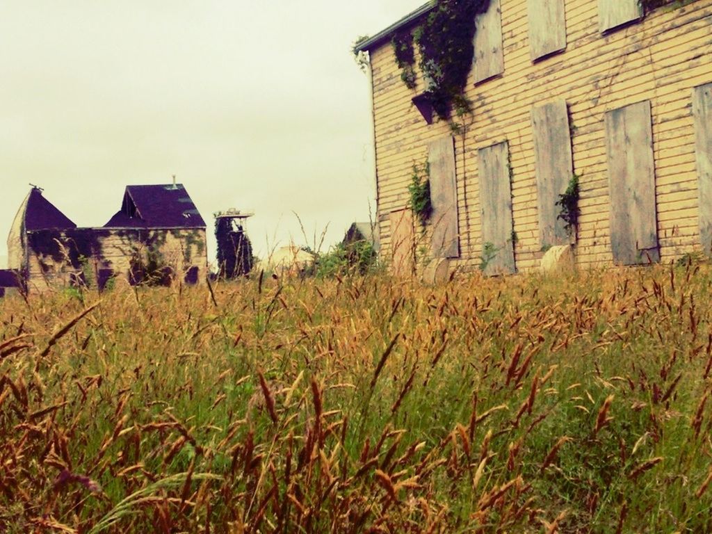 building exterior, architecture, built structure, grass, field, house, sky, grassy, residential structure, building, plant, day, abandoned, outdoors, growth, rural scene, old, residential building, no people, exterior