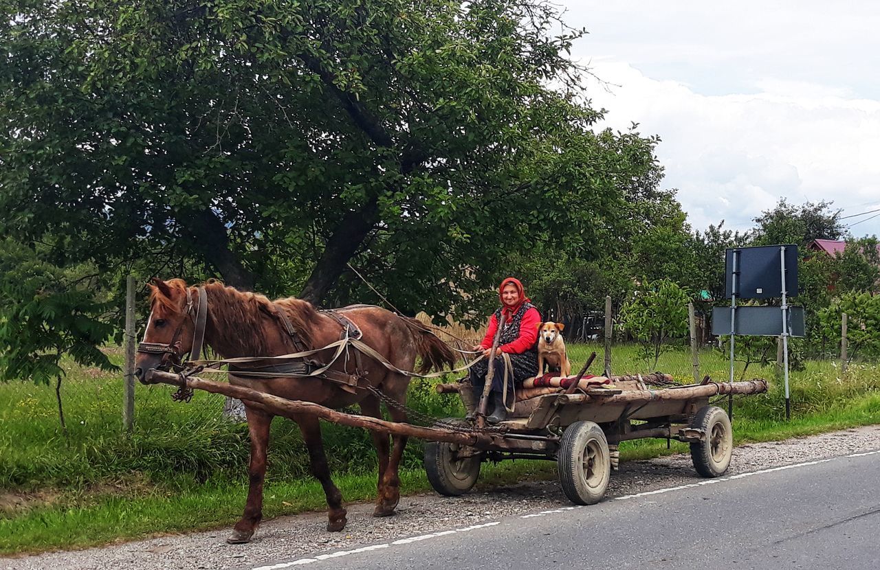 Câmpulung la Tisa