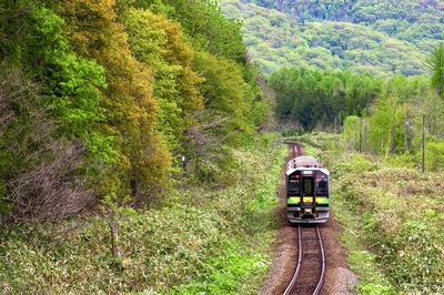 Spring colored leaves and local train which runs through a straight line