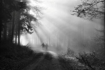 Rear view of silhouette people walking on road in forest during foggy weather