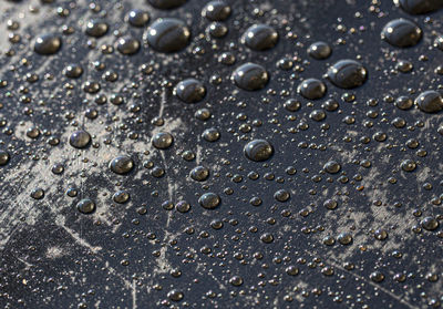 Full frame shot of raindrops on wet surface
