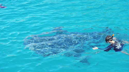 High angle view of man swimming in sea