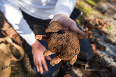 Midsection of man holding rock