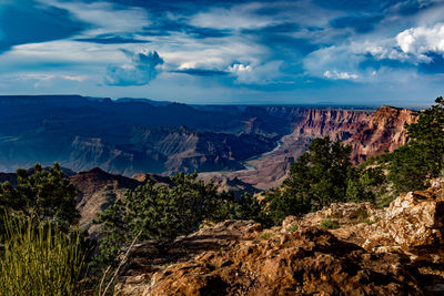 Scenic view of landscape