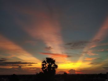 Low angle view of silhouette trees against dramatic sky