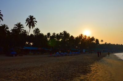 People at beach during sunset