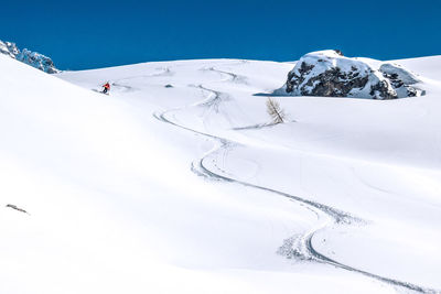 Skier skis in fresh powder next to ski tracks and rock