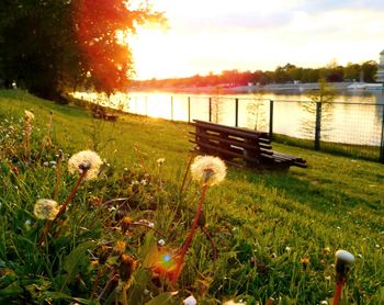 Scenic view of lake against sky during sunset