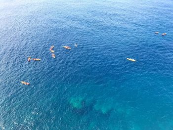 Bird view on blue sea with watersports