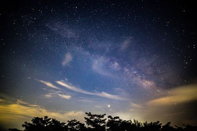 Low angle view of trees against sky at night