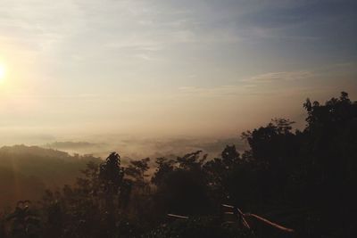 Scenic view of forest against sky at sunset