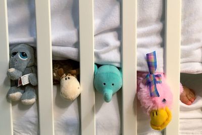 Close-up of stuffed toy