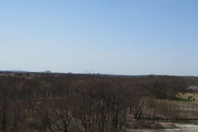 Scenic view of field against clear sky