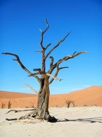 Barren landscape against clear sky