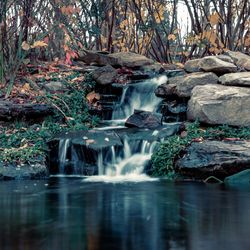 Stream flowing through rocks in forest