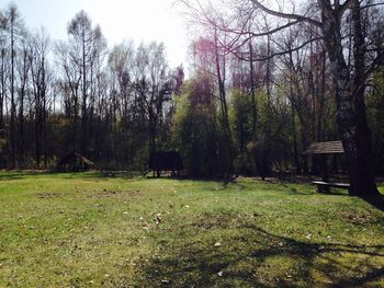 Scenic view of grassy field