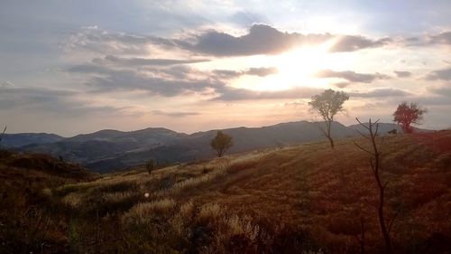 Scenic view of field against sky during sunset