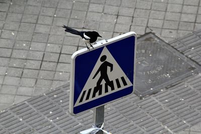 High angle view of arrow sign on road