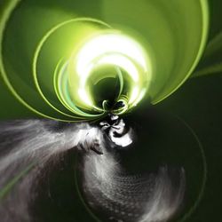 Close-up of spiral flower
