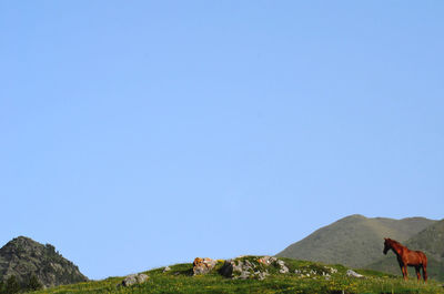 Low angle view of man standing on mountain against clear blue sky