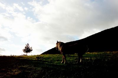 Scenic view of grassy field against cloudy sky