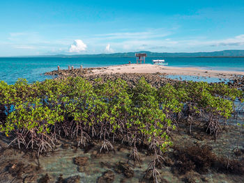 Scenic view of sea against blue sky