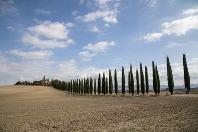 Wooden posts on field against sky