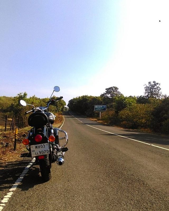 transportation, road, the way forward, land vehicle, street, clear sky, tree, full length, bicycle, lifestyles, mode of transport, riding, walking, men, rear view, leisure activity, sky, vanishing point