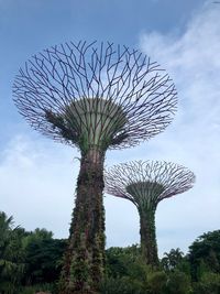 Low angle view of tree against sky