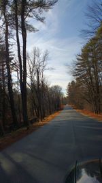 Empty road along trees