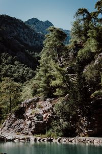Scenic view of river in forest against sky