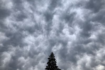 Low angle view of tree against cloudy sky