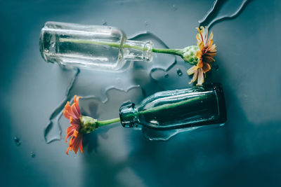 Close-up of red flower in glass bottle on table